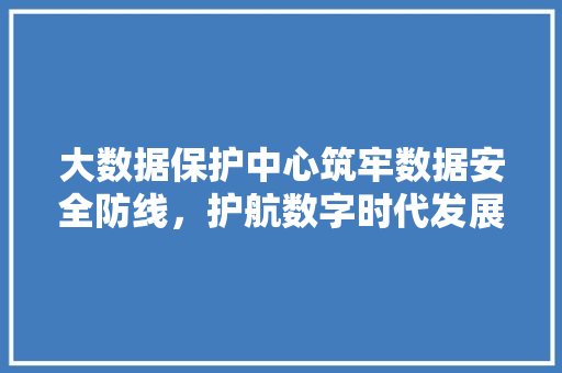 大数据保护中心筑牢数据安全防线，护航数字时代发展