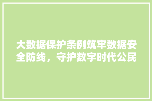 大数据保护条例筑牢数据安全防线，守护数字时代公民权益 网络技术