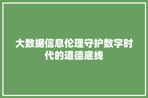 大数据信息伦理守护数字时代的道德底线