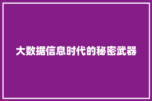 大数据信息时代的秘密武器