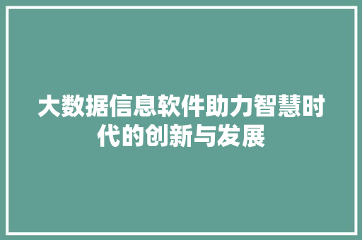大数据信息软件助力智慧时代的创新与发展