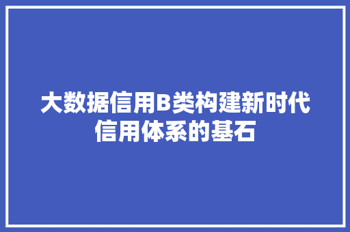 大数据信用B类构建新时代信用体系的基石