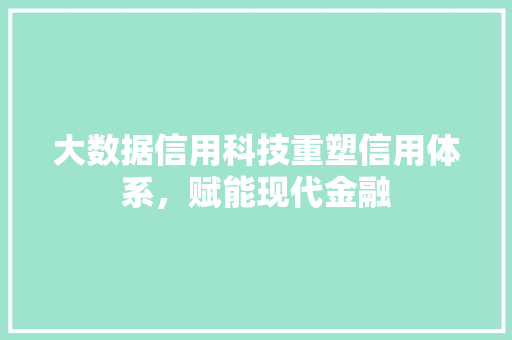 大数据信用科技重塑信用体系，赋能现代金融