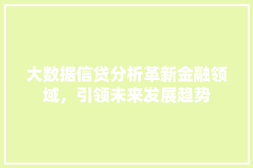 大数据信贷分析革新金融领域，引领未来发展趋势