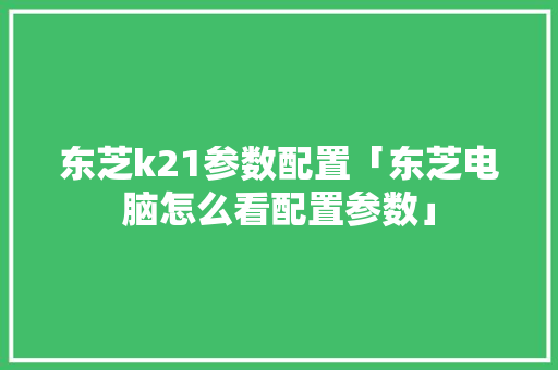 东芝k21参数配置「东芝电脑怎么看配置参数」
