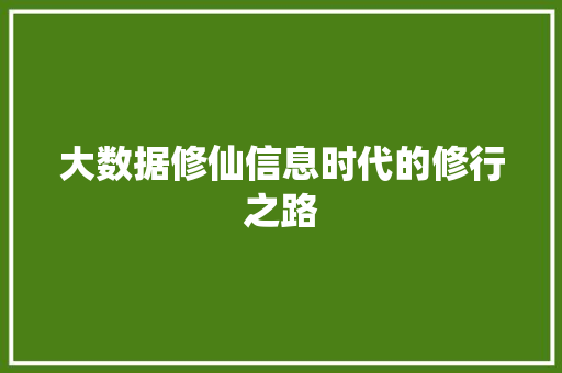 大数据修仙信息时代的修行之路