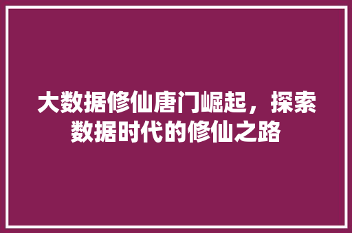 大数据修仙唐门崛起，探索数据时代的修仙之路