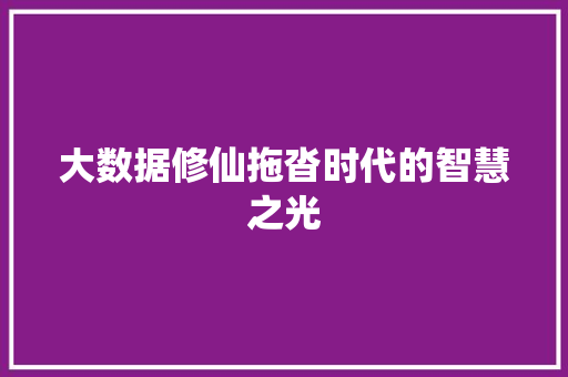 大数据修仙拖沓时代的智慧之光