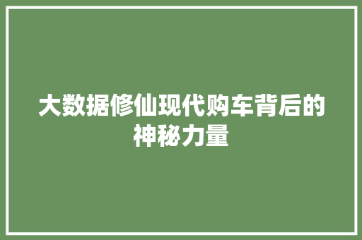 大数据修仙现代购车背后的神秘力量