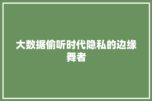 大数据偷听时代隐私的边缘舞者