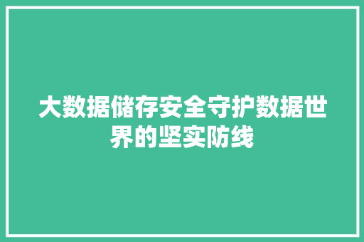 大数据储存安全守护数据世界的坚实防线