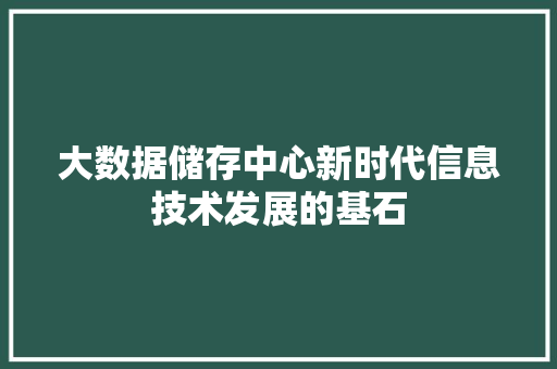 大数据储存中心新时代信息技术发展的基石