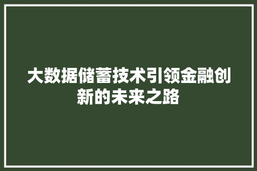 大数据储蓄技术引领金融创新的未来之路 编程语言
