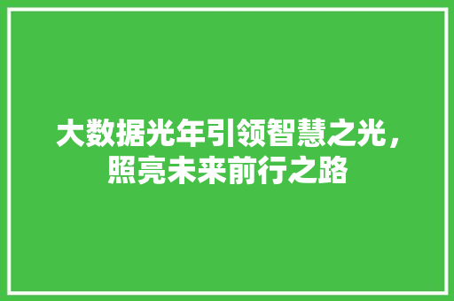 大数据光年引领智慧之光，照亮未来前行之路