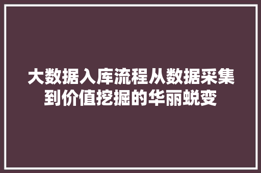 大数据入库流程从数据采集到价值挖掘的华丽蜕变
