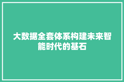 大数据全套体系构建未来智能时代的基石