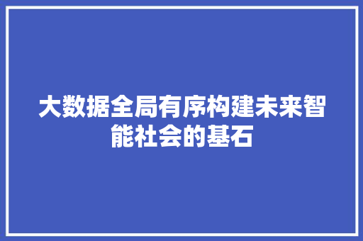 大数据全局有序构建未来智能社会的基石