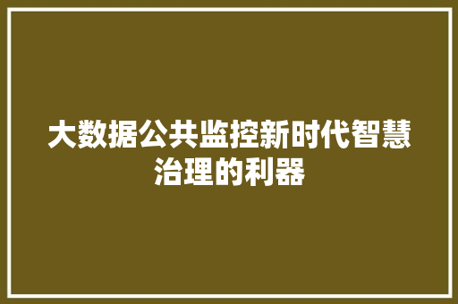 大数据公共监控新时代智慧治理的利器
