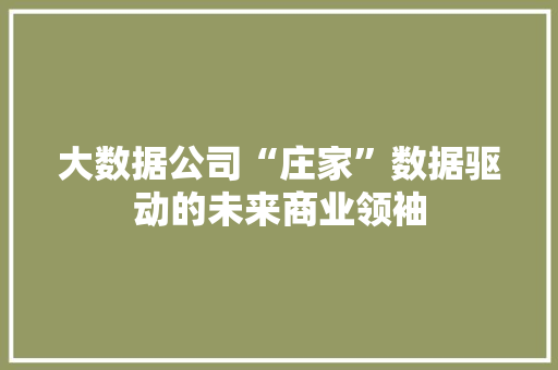大数据公司“庄家”数据驱动的未来商业领袖