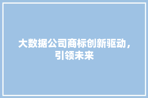 大数据公司商标创新驱动，引领未来
