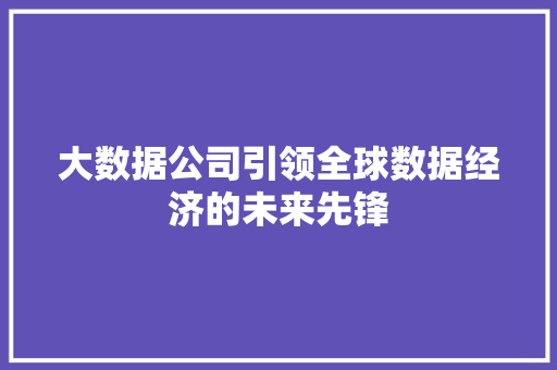 大数据公司引领全球数据经济的未来先锋
