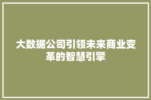 大数据公司引领未来商业变革的智慧引擎