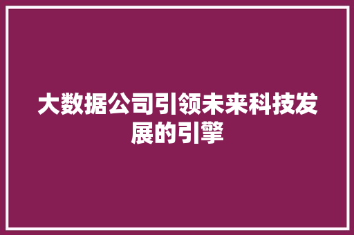 大数据公司引领未来科技发展的引擎