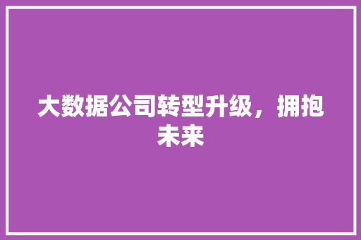 大数据公司转型升级，拥抱未来 电脑故障维修