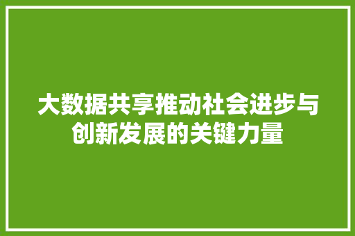 大数据共享推动社会进步与创新发展的关键力量 电脑故障维修