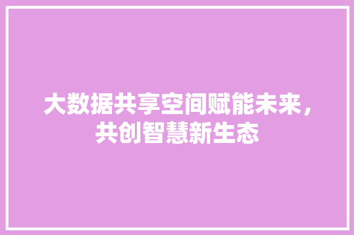 大数据共享空间赋能未来，共创智慧新生态 操作系统