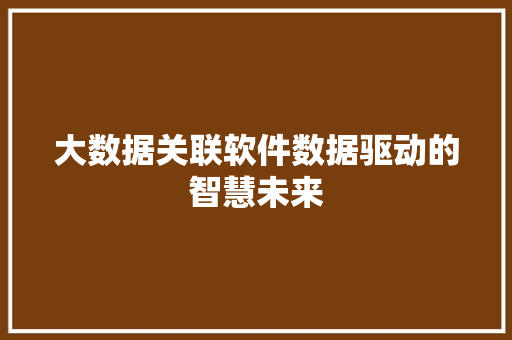 大数据关联软件数据驱动的智慧未来