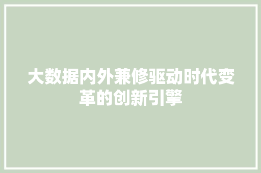 大数据内外兼修驱动时代变革的创新引擎 电脑基础