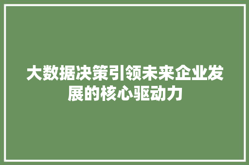 大数据决策引领未来企业发展的核心驱动力 大数据决策引领未来企业发展的核心驱动力