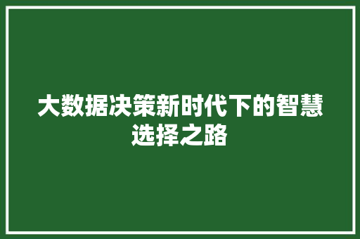 大数据决策新时代下的智慧选择之路