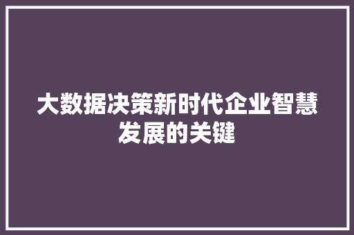 大数据决策新时代企业智慧发展的关键 大数据决策新时代企业智慧发展的关键