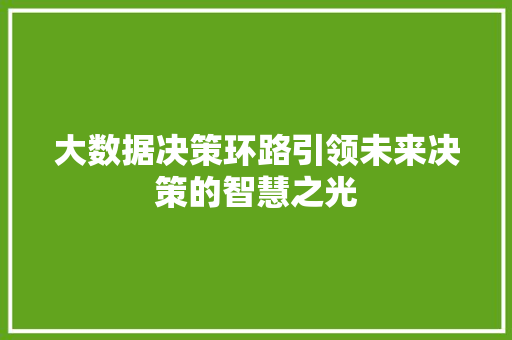 大数据决策环路引领未来决策的智慧之光 大数据决策环路引领未来决策的智慧之光