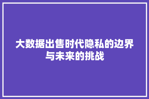 大数据出售时代隐私的边界与未来的挑战 大数据出售时代隐私的边界与未来的挑战