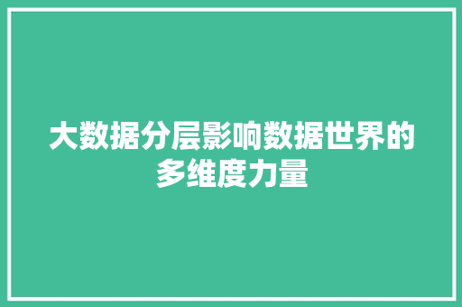 大数据分层影响数据世界的多维度力量