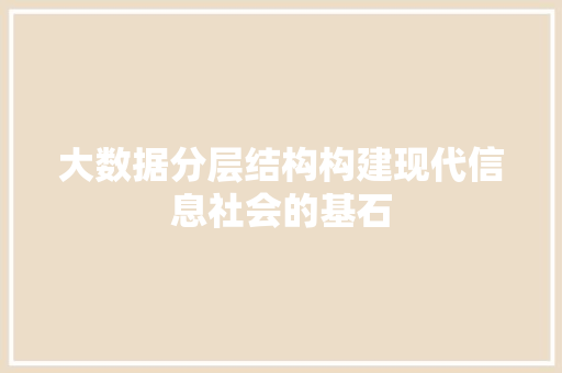 大数据分层结构构建现代信息社会的基石