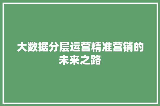 大数据分层运营精准营销的未来之路