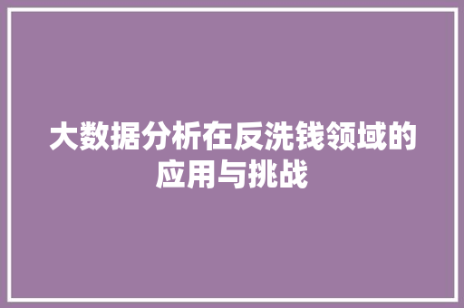 大数据分析在反洗钱领域的应用与挑战 操作系统