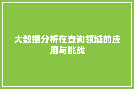 大数据分析在查询领域的应用与挑战