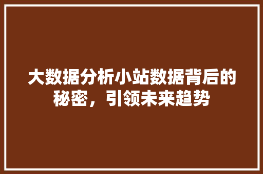 大数据分析小站数据背后的秘密，引领未来趋势