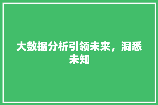 大数据分析引领未来，洞悉未知