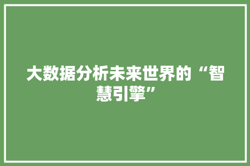 大数据分析未来世界的“智慧引擎”