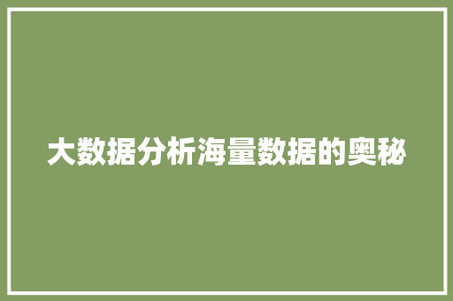 大数据分析海量数据的奥秘
