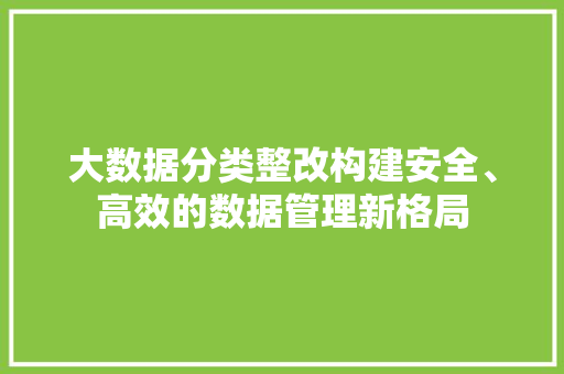 大数据分类整改构建安全、高效的数据管理新格局 大数据分类整改构建安全、高效的数据管理新格局