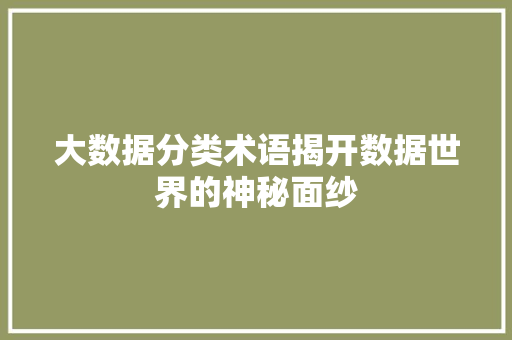 大数据分类术语揭开数据世界的神秘面纱 大数据分类术语揭开数据世界的神秘面纱