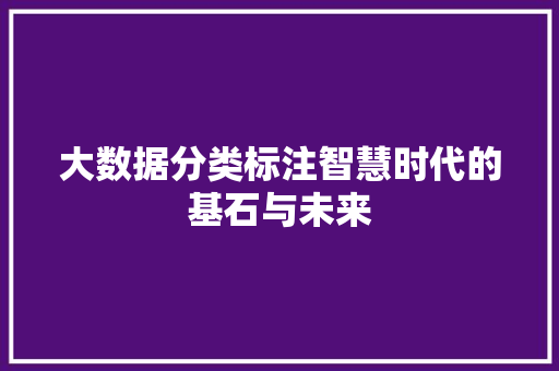 大数据分类标注智慧时代的基石与未来 大数据分类标注智慧时代的基石与未来