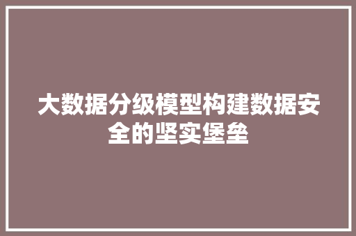 大数据分级模型构建数据安全的坚实堡垒